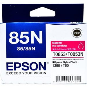 Hộp mực in phun màu Epson 85N (C13T122300)