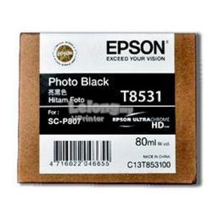 Hộp mực in phun màu Epson C13T853100