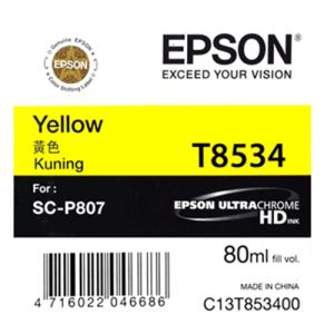 Hộp mực in phun màu Epson C13T853400